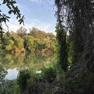 RECOMMEND (feat. imnotvrycreative)