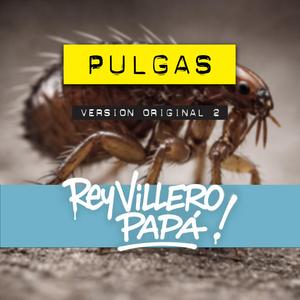 Pulgas (Original)