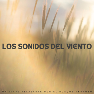 El Sonido Del Viento