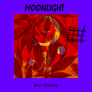 Moonlight