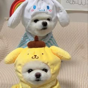 So It Goes... (slowed)