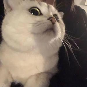 感谢你曾来过