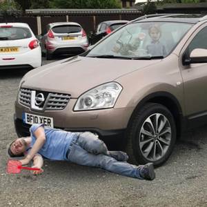 Pet Housefly (I killed my dad with a Nissan Qashqui)