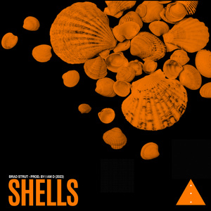 Shells
