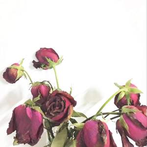 用心点亮千万家