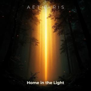 Home in the Light