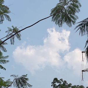 龙的传人（待成熟唢呐版）