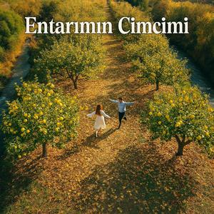 Entarimin Cimcimi