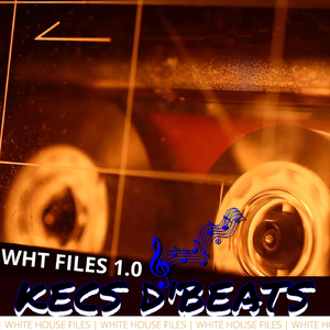 White House Files 1.0