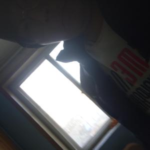 still in on the pupu