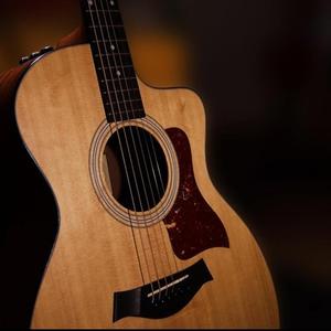 Guitar Beat (Flames)