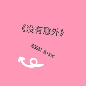 没有意外（女声版）