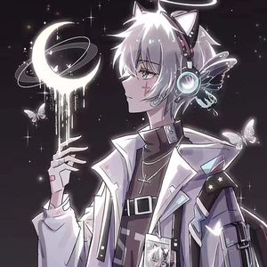 New Boy