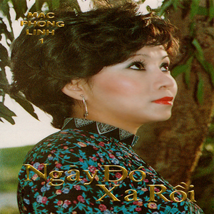 Nêu tôi đưa em về