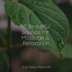 Concrete Junglescape