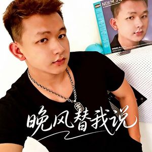 晚风替我说 伴奏
