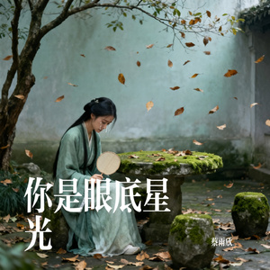 你是眼底星光
