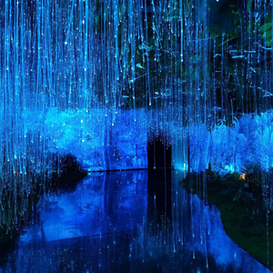 暖阳与星光 .mp3