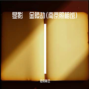 显影·金陵劫