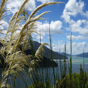 Fools and Dreamers (feat. Oresund)