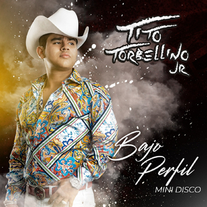 Bajo Perfil (feat. Tony Aguirre)