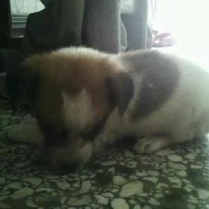 青春舞曲2022（九七 remix）