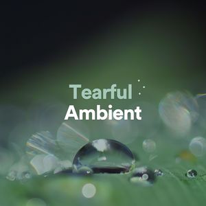 Leniently Ambient