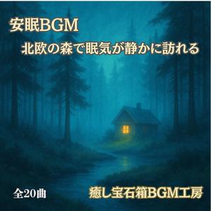 心が落ち着く北欧の森と夜の静寂