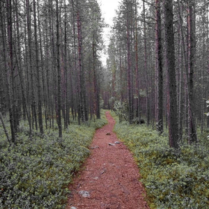 Як жити після