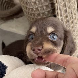 Man I Think I Love Her (Sped Up)