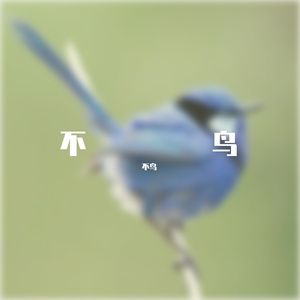 《不鸟》
