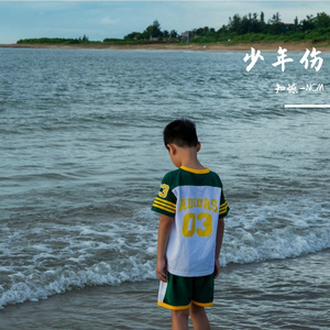 少年伤