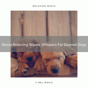 All Leaves Songs Especially For Our Dogs