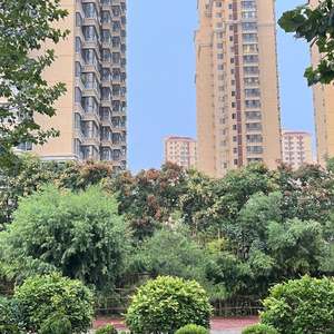 为何爱会这样