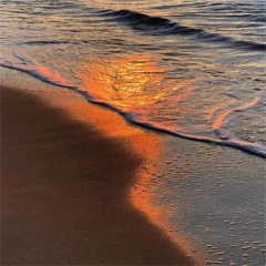 KNSRK (ALIVE（Explicit）)