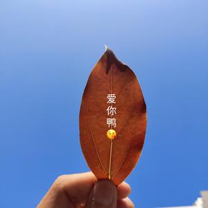好好（翻自 五月天）