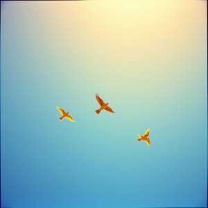 「もう自由でいい！」 未来も答えも 誰も持ってない 迷っても 君は君のまま