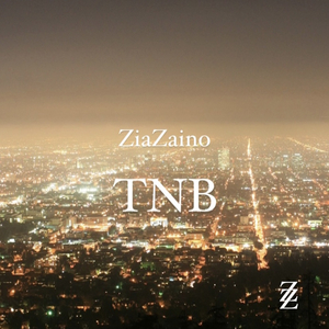 Tnb