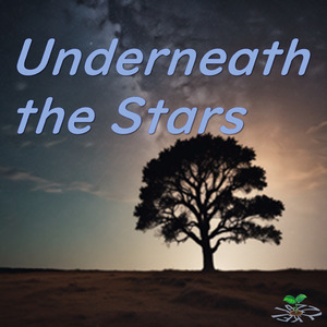 Undemeath the Stars