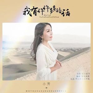 我有许许多多的话 (DJ版)