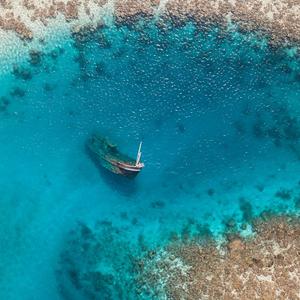 人生如梦一场空（这世界真真假假）