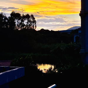 maybe thank(proud by Genunie木子山)