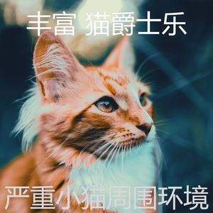 精彩小猫环境