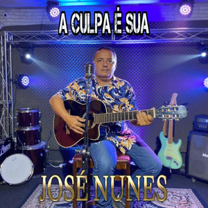 A Culpa é Sua