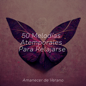 Murmuraciones Brumosas de Encantamiento