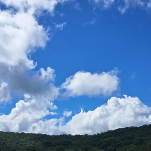Numa Tarde Qualquer