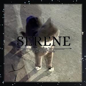 Sorry ! It's been a while.