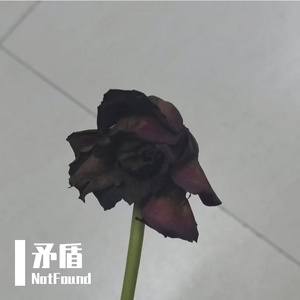 矛盾（Prod EVOMUSIC&葵）