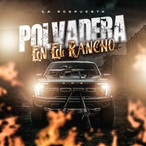 Paz En Este Amor (En Vivo)