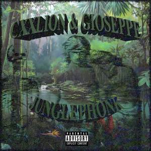 Pockets Full of Stones